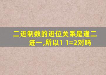 二进制数的进位关系是逢二进一,所以1 1=2对吗